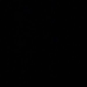 Meet your Posher, Diego